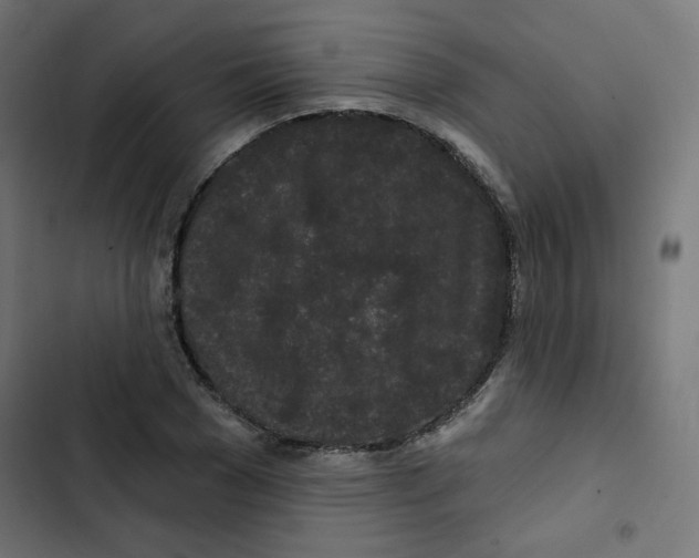 X0000102490977200809051318