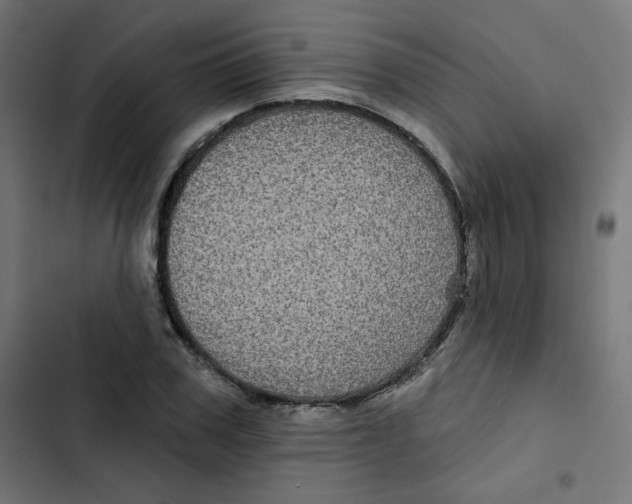 X0000102490979200809051318