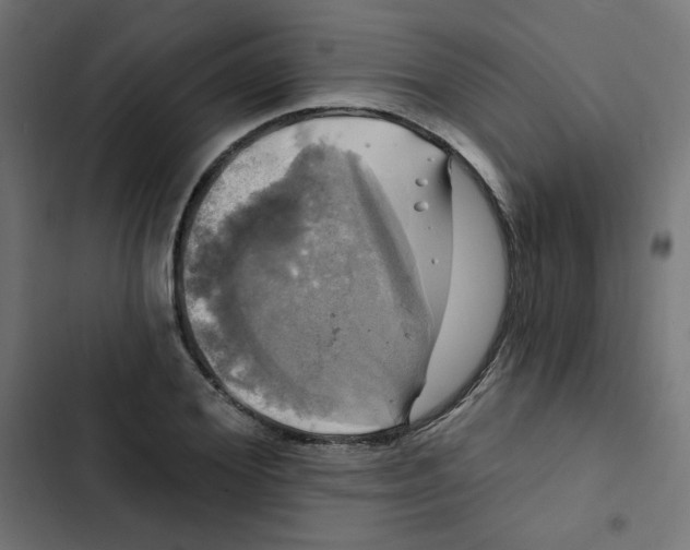 X0000102490980200809051318