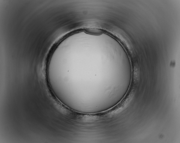 X0000102490981200809051318