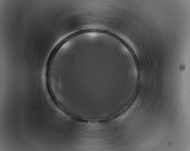 X0000102490983200809051318