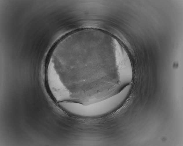 X0000102490984200809051318