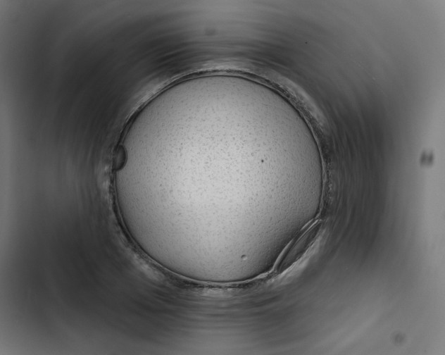 X0000102490985200809051318