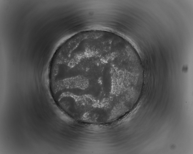 X0000102490987200809051318