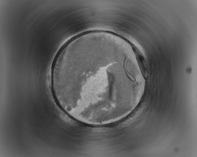 X0000102490988200809051318