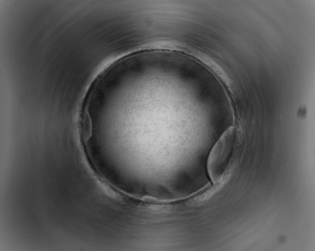 X0000102490989200809051318