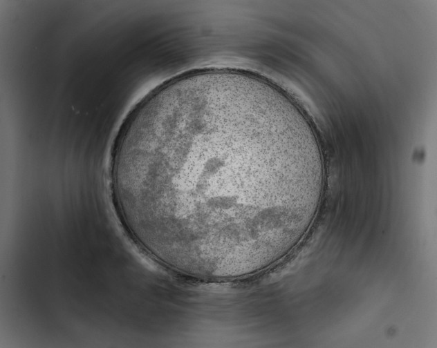 X0000102490990200809051318