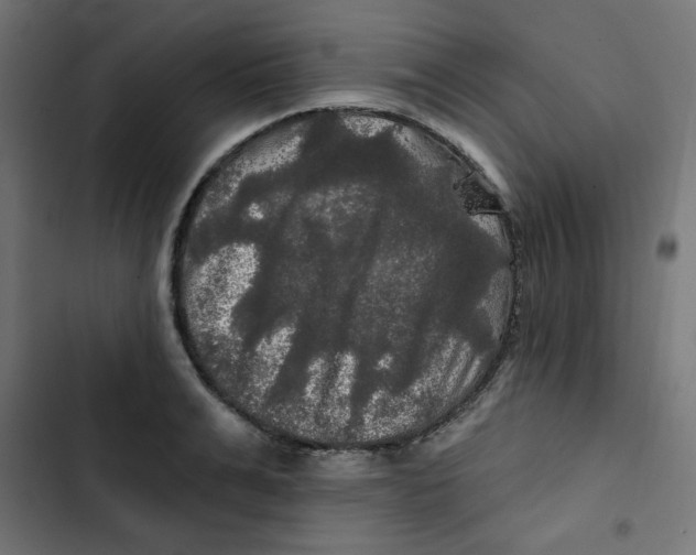 X0000102490991200809051318