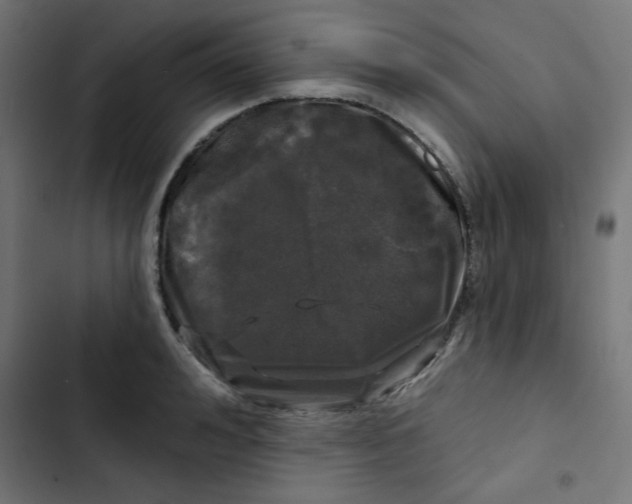 X0000102490992200809051318