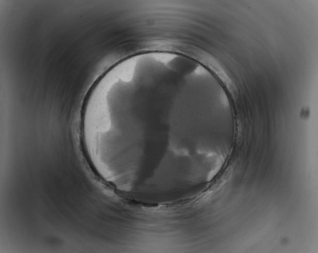 X0000102490994200809051318