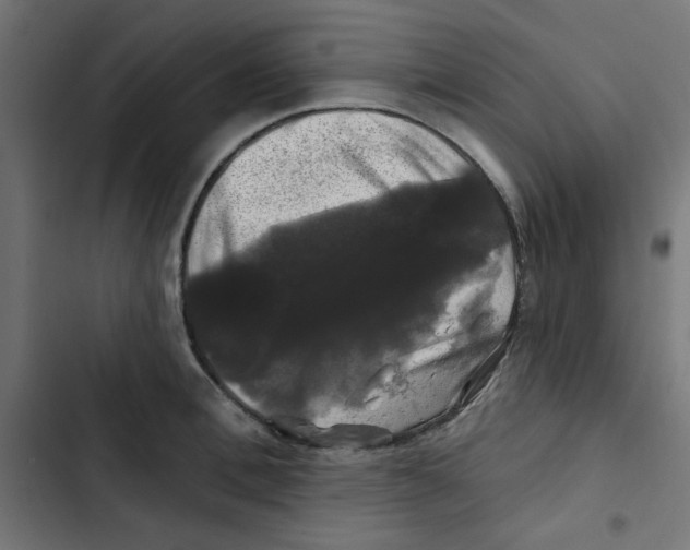 X0000102490996200809051318