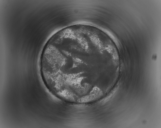 X0000102490999200809051318