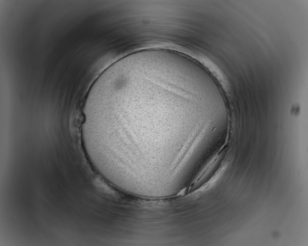 X0000102491001200809051318