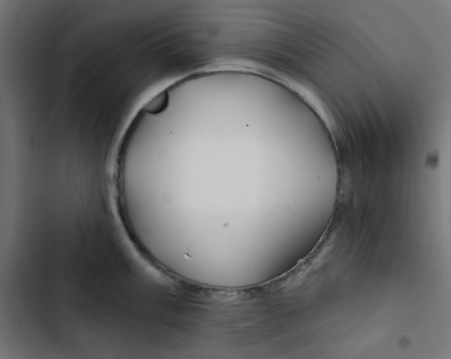 X0000102491003200809051318