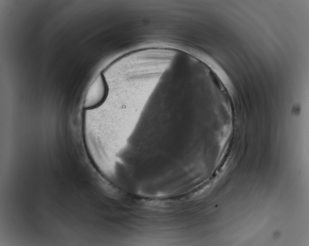 X0000102491004200809051318