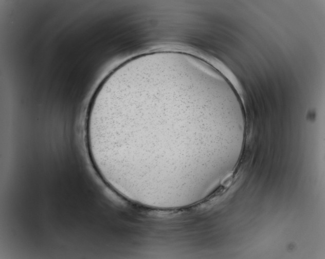 X0000102491005200809051318