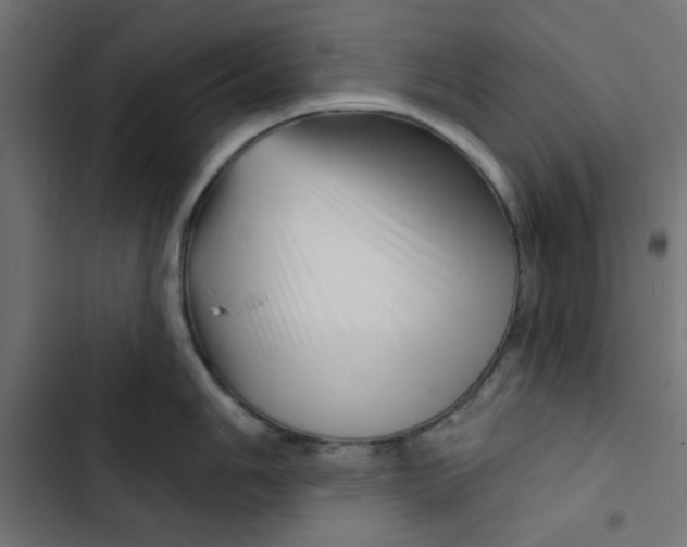 X0000102491006200809051317