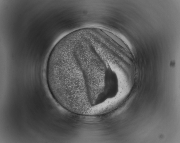 X0000102491007200809051317