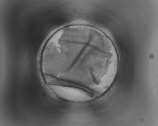 X0000102491008200809051317