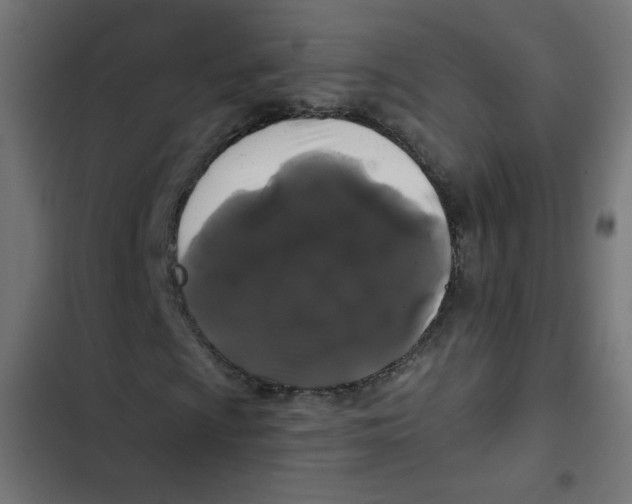 X0000102491009200809051317