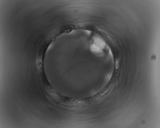 X0000102491011200809051317