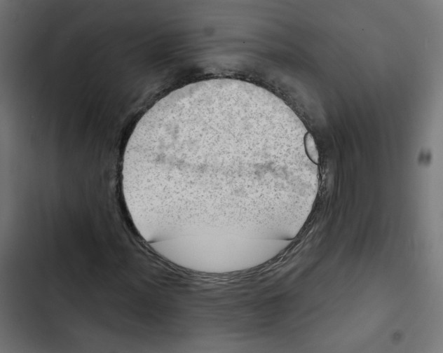 X0000102491012200809051317