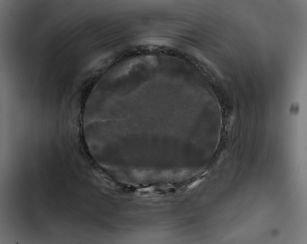 X0000102491014200809051317