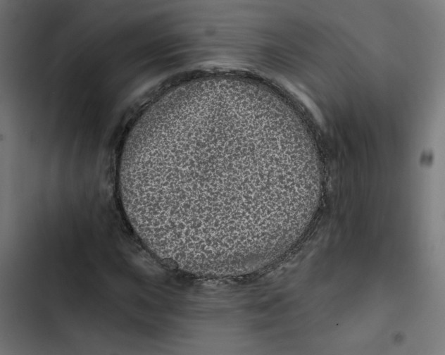 X0000102491015200809051317