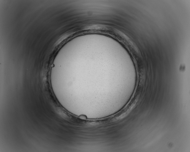 X0000102491017200809051317