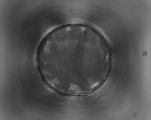 X0000102491018200809051317