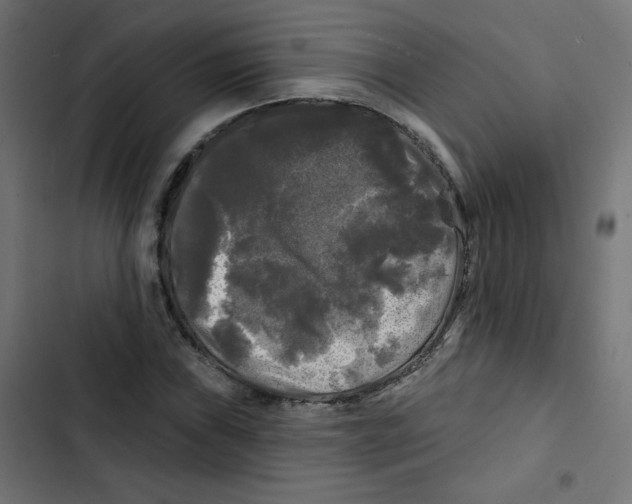 X0000102491019200809051317