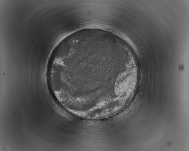 X0000102491020200809051317