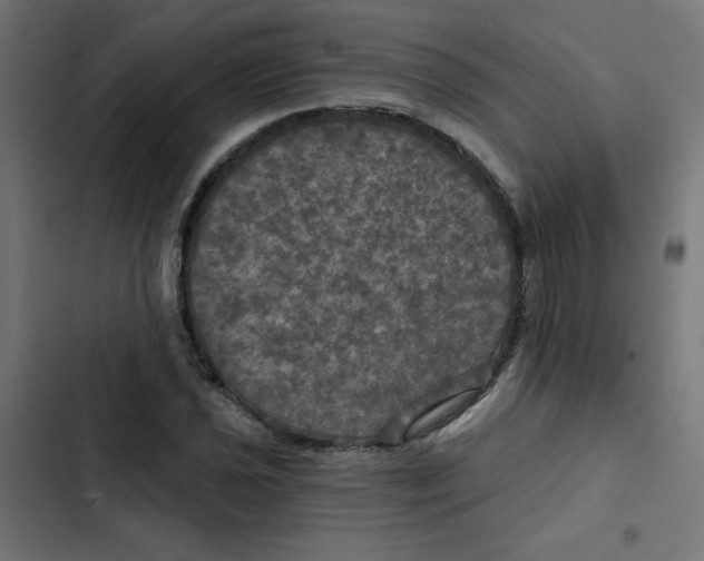 X0000102491021200809051317