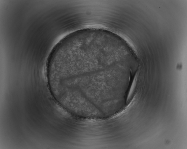 X0000102491022200809051317