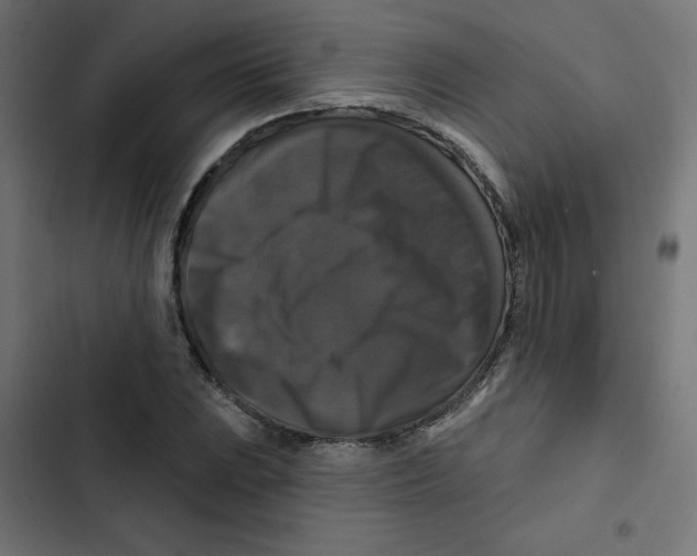 X0000102491023200809051317