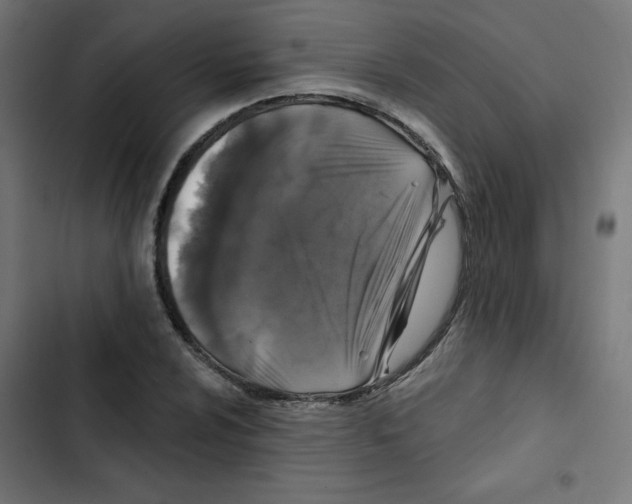 X0000102491024200809051317