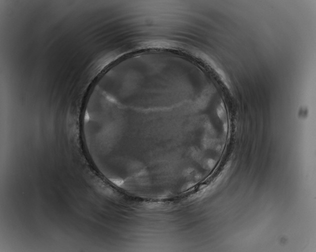 X0000102491025200809051317