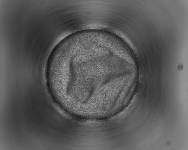 X0000102491026200809051317