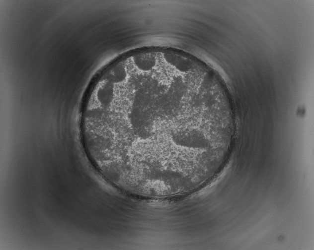 X0000102491029200809051317