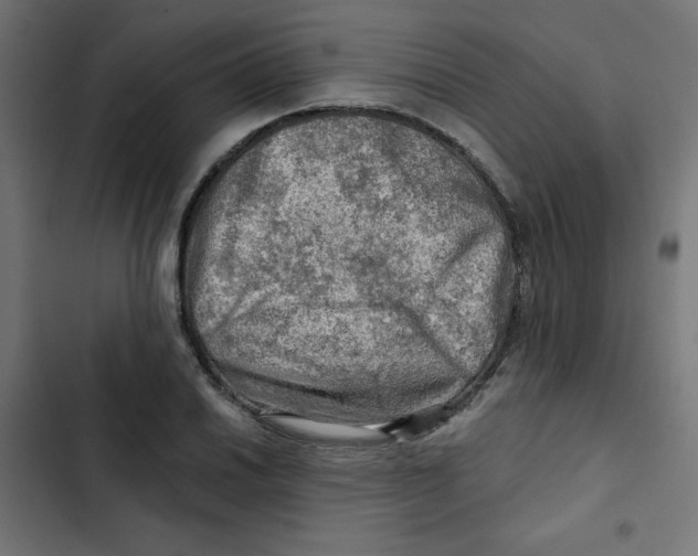 X0000102491030200809051317