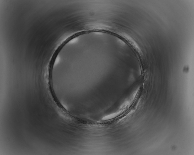 X0000102491031200809051317