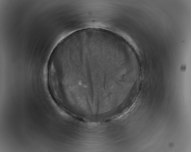 X0000102491032200809051317