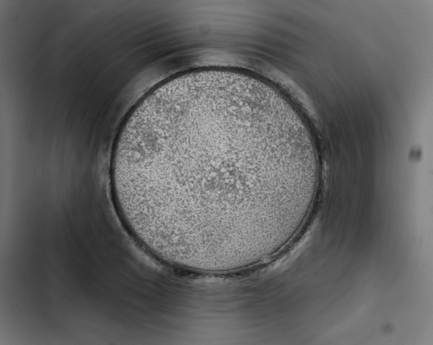 X0000102491033200809051317