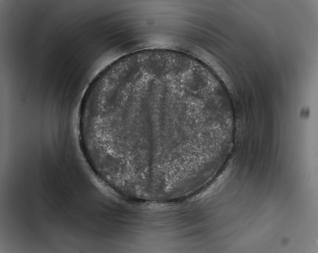 X0000102491034200809051317