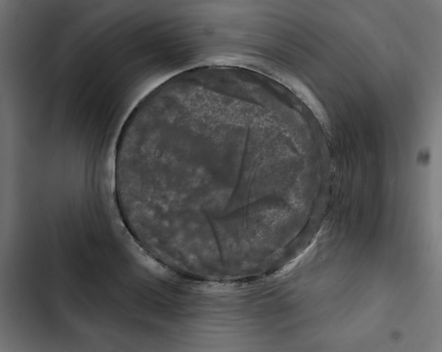 X0000102491036200809051317