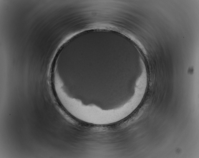 X0000102491037200809051317