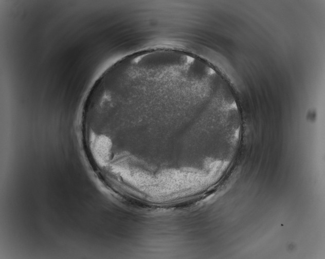 X0000102491038200809051317