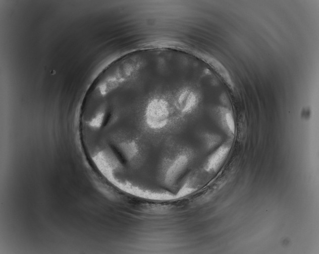 X0000102491039200809051317