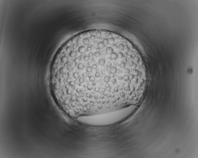 X0000102491040200809051317