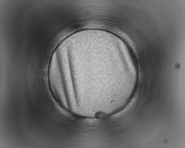 X0000102491041200809051317